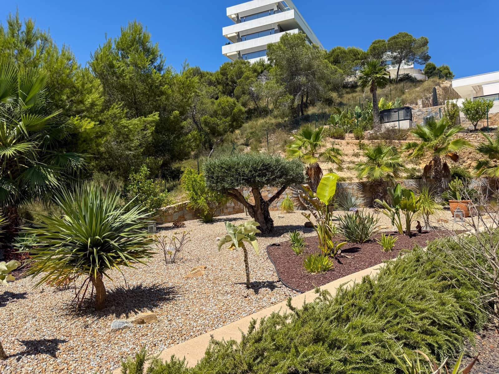 3 slaapkamer Villa te koop in Las Colinas Golf met zwembad garage - € 1.490.000 (Ref: 10183409)