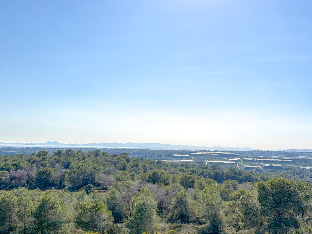 3 bedroom Penthouse for sale in Las Colinas Golf with pool garage - € 679,000 (Ref: 10183411)