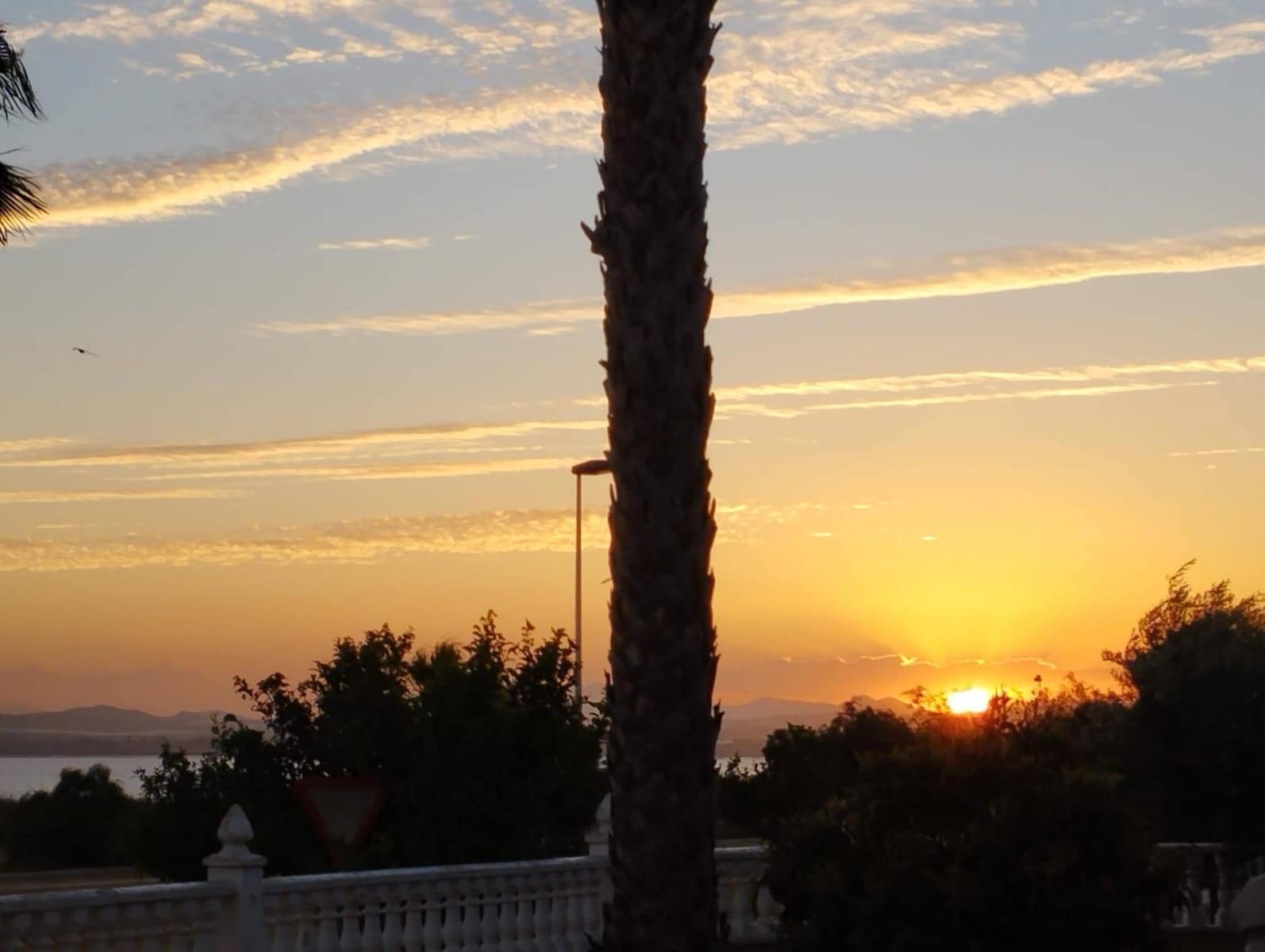 6 sypialnia Willa na sprzedaż w Torrevieja z basenem - 539 000 € (Ref: 9513838)