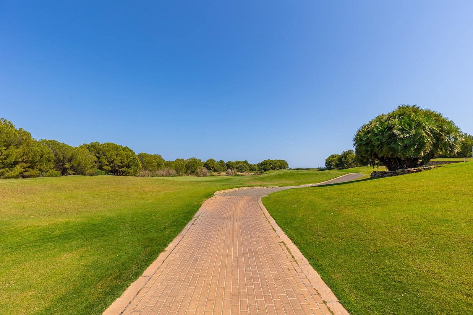 4 slaapkamer Villa te koop in Las Colinas Golf met garage - € 1.700.000 (Ref: 9514056)