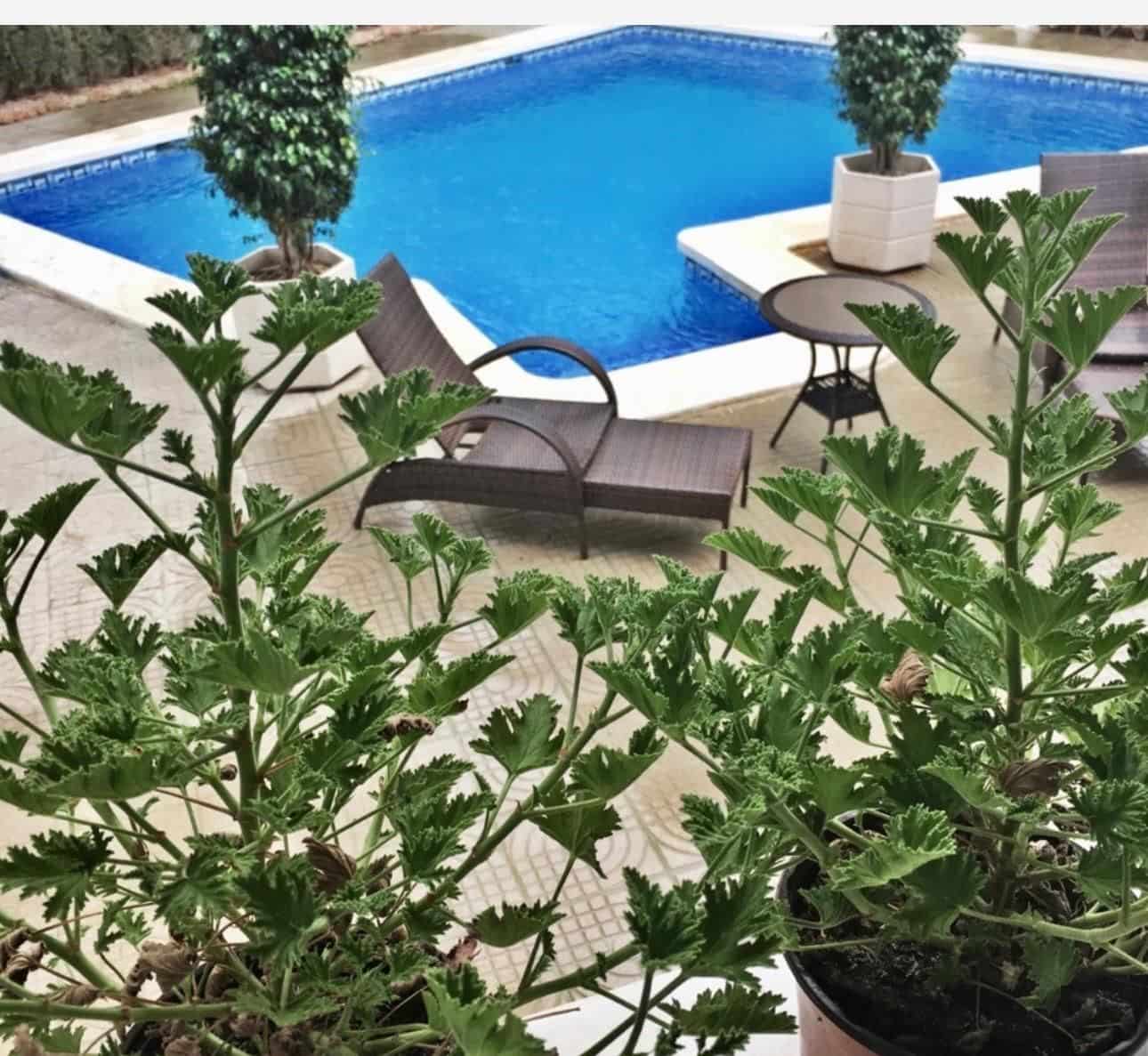 5 bedroom Villa for sale in Pueblo Bravo with pool - € 649,000 (Ref: 9514182)