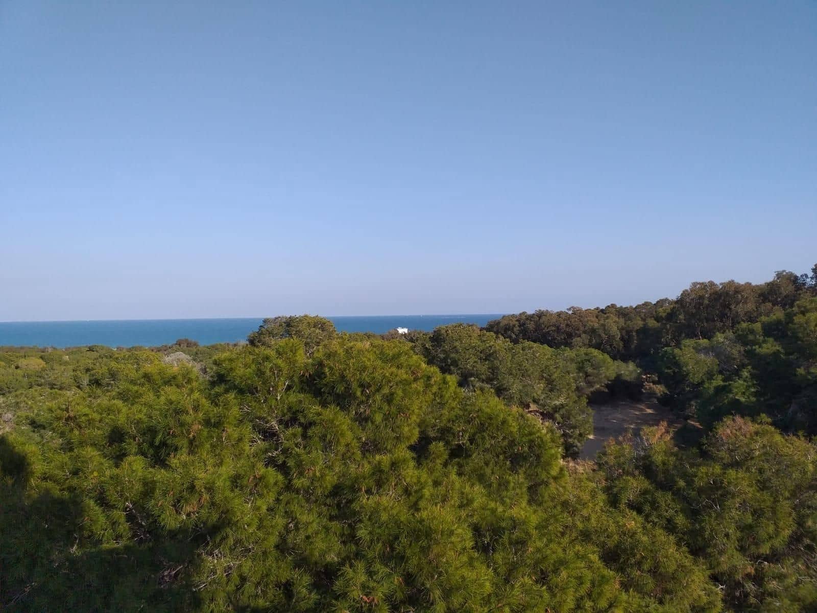 3 slaapkamer Penthouse te koop in Guardamar del Segura met zwembad - € 690.000 (Ref: 9514294)