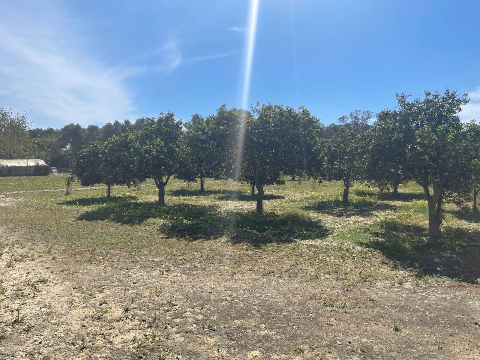 3 soverom Villa til salgs i Pueblo Lucero - € 460 000 (Ref: 9514336)