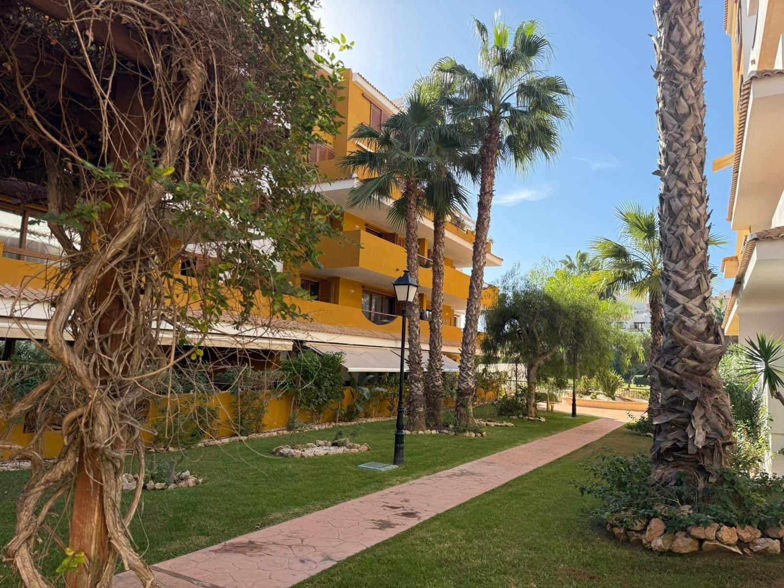 2 soveværelse Lejlighed til salg i Punta Prima med swimmingpool - € 239.900 (Ref: 9514558)