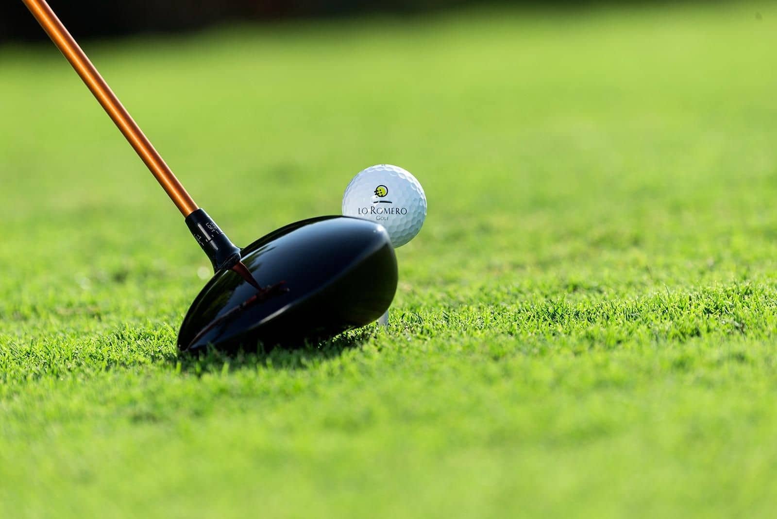 3 sypialnia Willa na sprzedaż w Pilar de la Horadada z basenem - 499 000 € (Ref: 9514638)