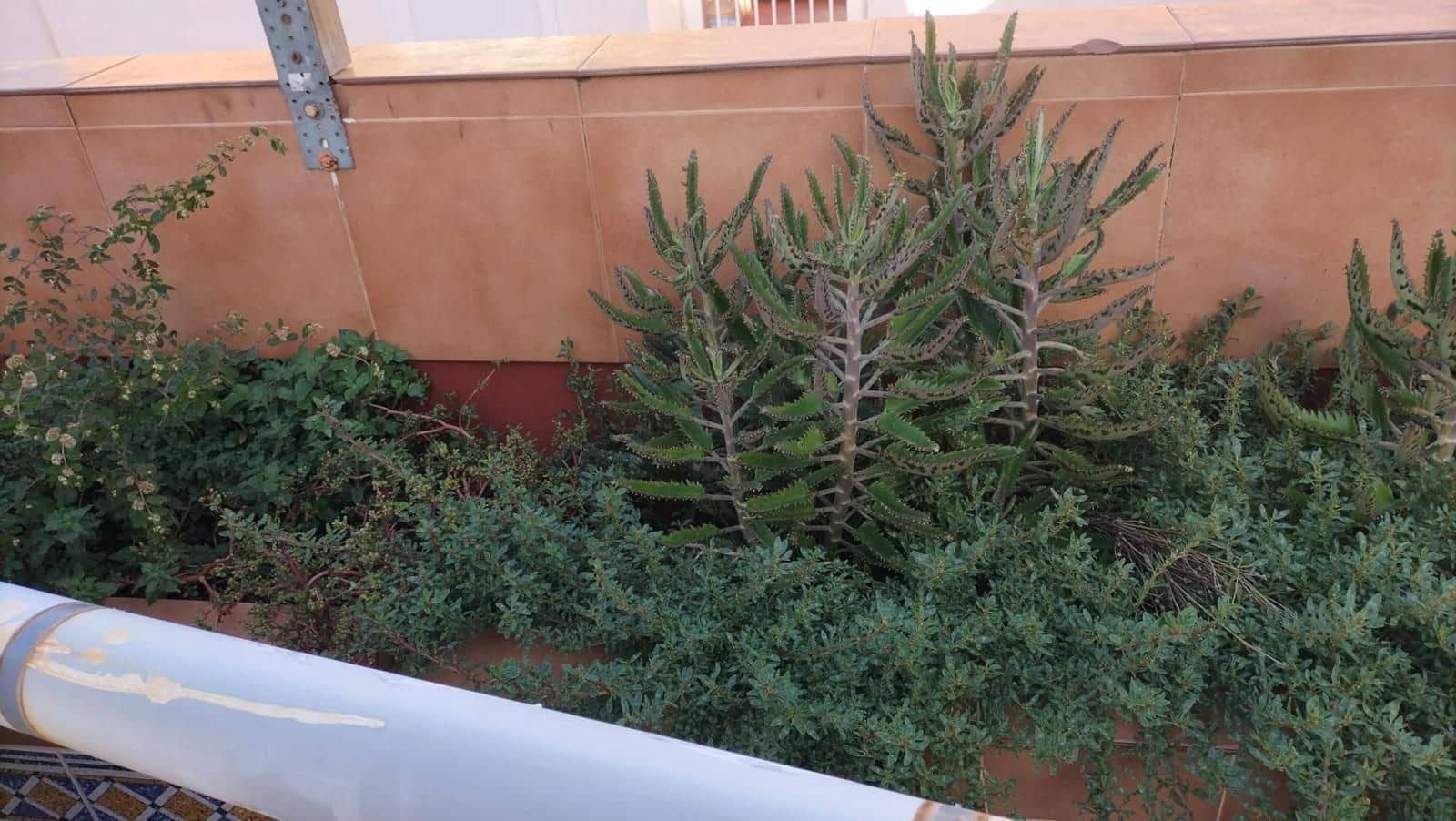 2 sypialnia Apartament na sprzedaż w Torrevieja z basenem - 189 000 € (Ref: 9515278)