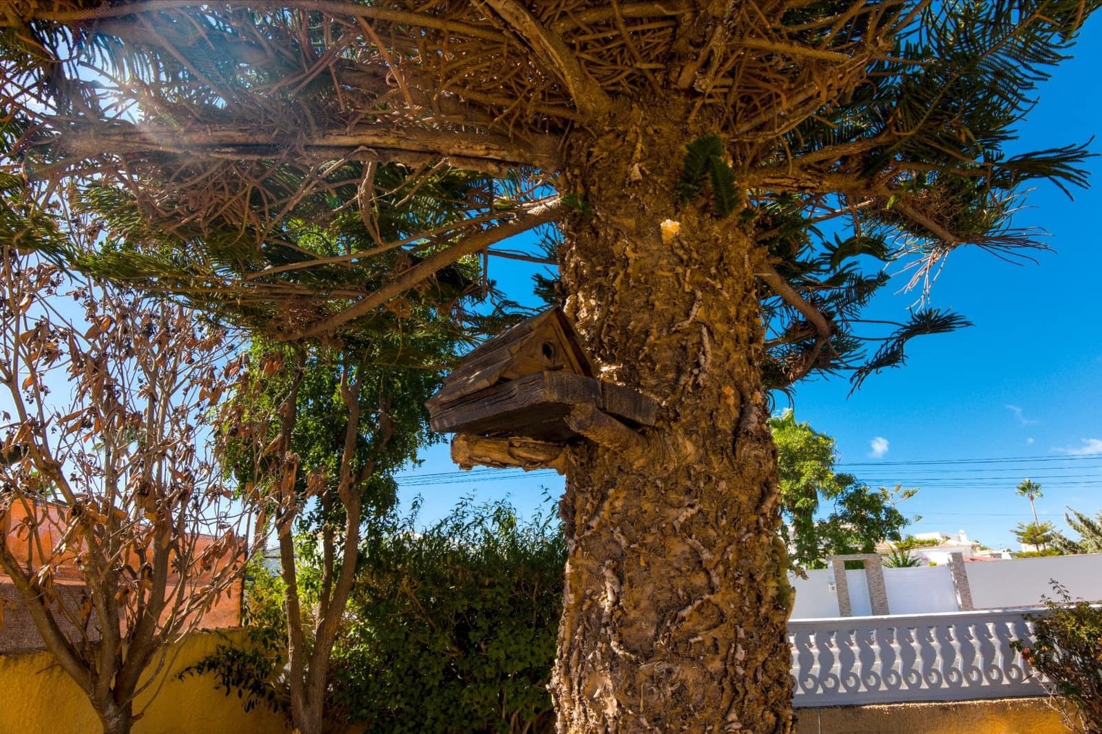 2 bedroom Villa for sale in Torrevieja - € 255,000 (Ref: 9515336)