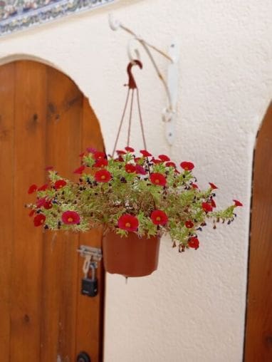 3 slaapkamer Villa te koop in Orihuela Costa - € 269.995 (Ref: 9515338)