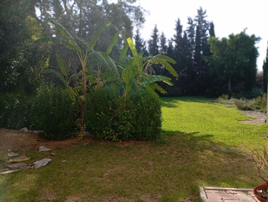 4 sypialnia Willa na sprzedaż w Almoradi - 320 000 € (Ref: 9515389)