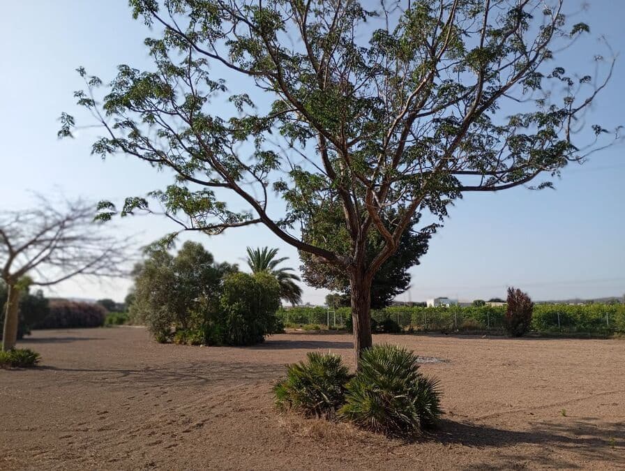 4 sypialnia Willa na sprzedaż w Almoradi - 320 000 € (Ref: 9515389)