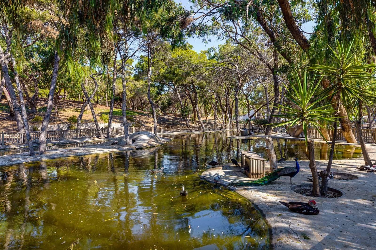 Apartamento de 2 habitaciones en Guardamar del Segura en venta - 390.000 € (Ref: 9515425)