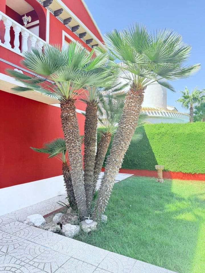 5 bedroom Villa for sale in Orihuela Costa with pool - € 879,000 (Ref: 9515429)