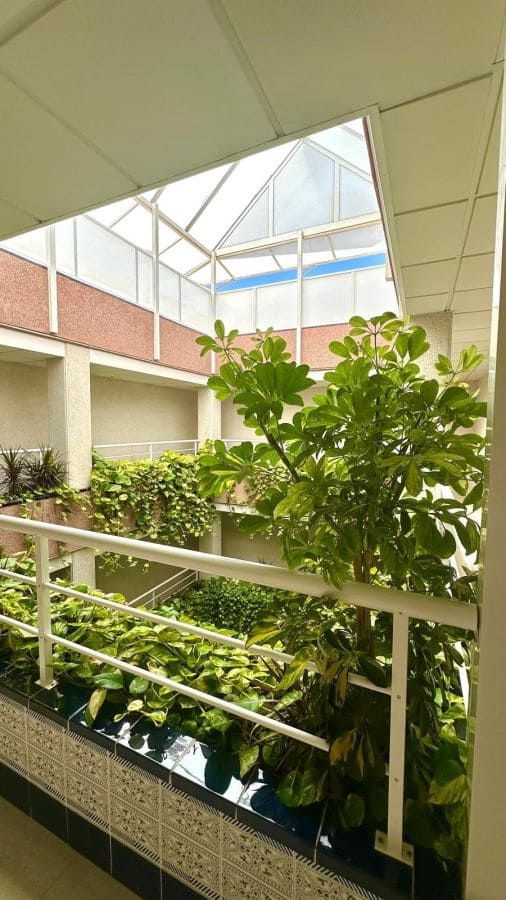 1 Zimmer Penthouse zu verkaufen in Torrevieja - 189.900 € (Ref: 9515451)