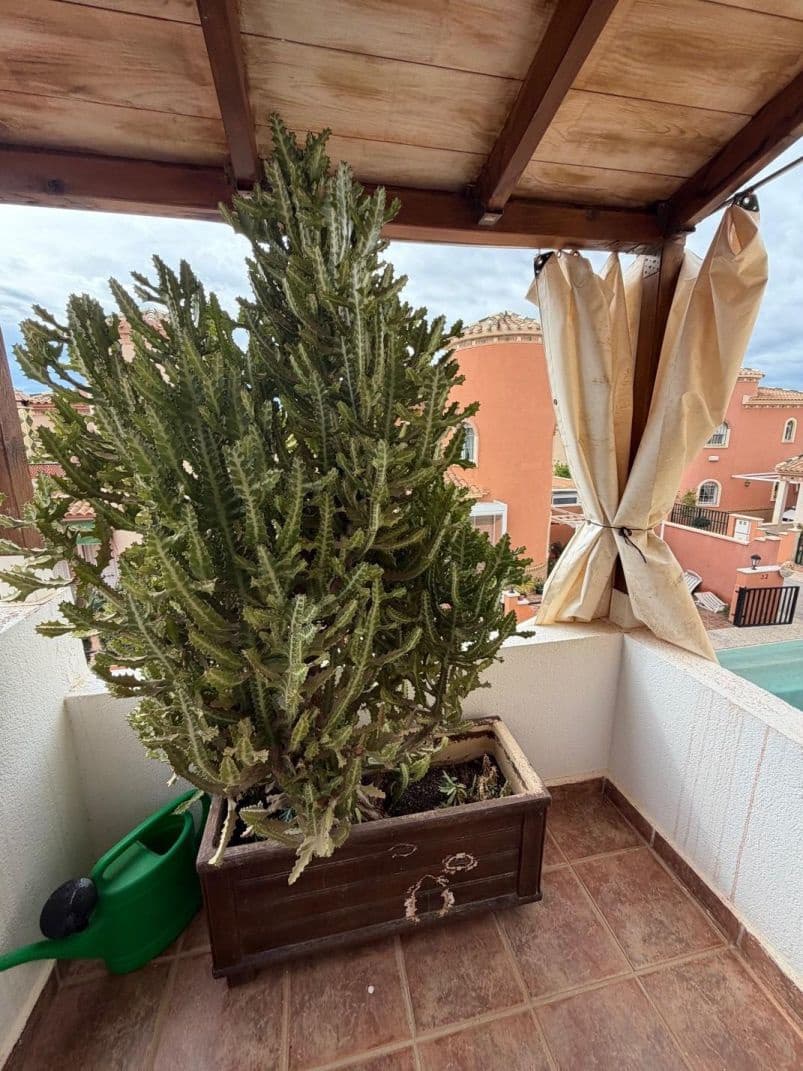 3 bedroom Villa for sale in Playa Flamenca with pool - € 285,000 (Ref: 9515602)