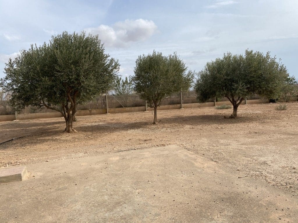 Finca/Casa Rural de 4 habitaciones en Fuente Alamo de Murcia en venta con garaje - 260.000 € (Ref: 9515817)