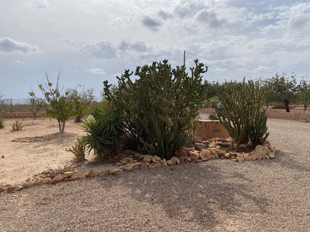 Finca/Casa Rural de 4 habitaciones en Fuente Alamo de Murcia en venta con garaje - 260.000 € (Ref: 9515817)