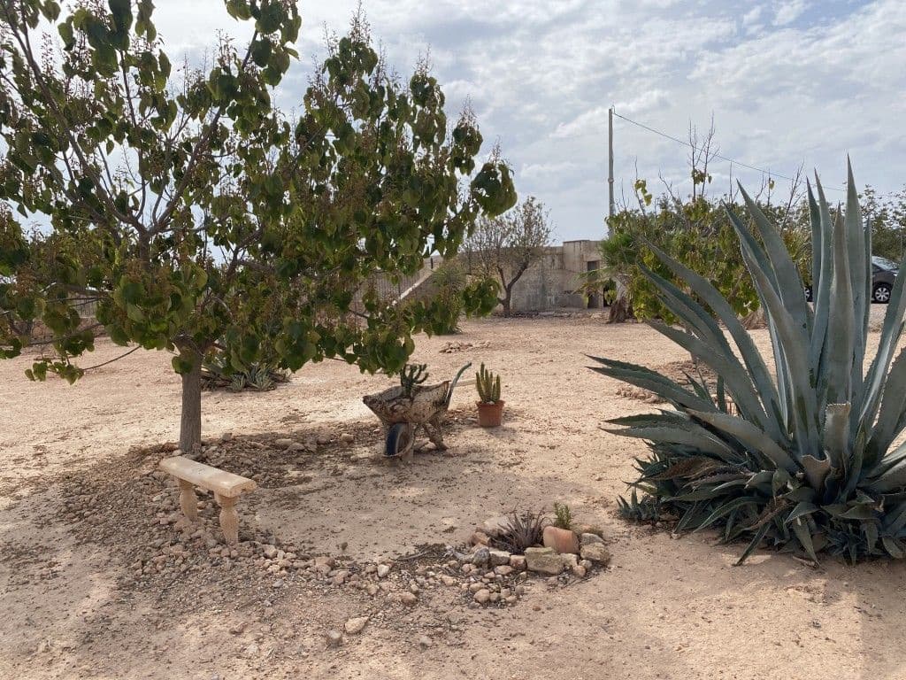 Finca/Casa Rural de 4 habitaciones en Fuente Alamo de Murcia en venta con garaje - 260.000 € (Ref: 9515817)