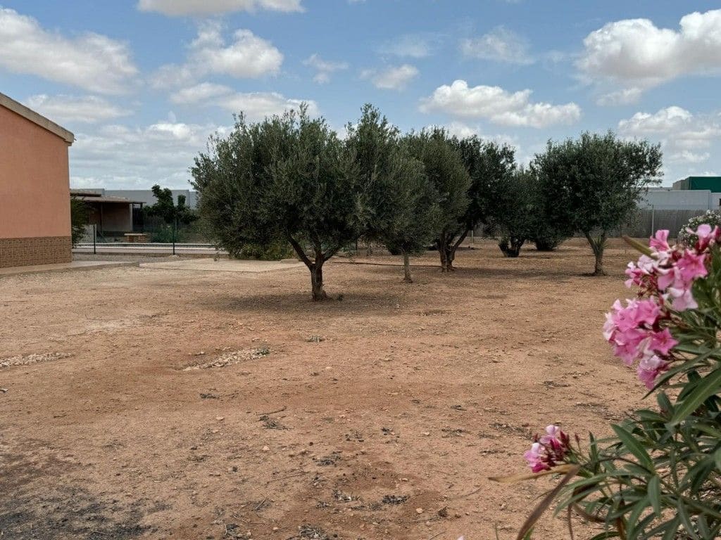 Finca/Casa Rural de 4 habitaciones en Fuente Alamo de Murcia en venta con garaje - 260.000 € (Ref: 9515817)