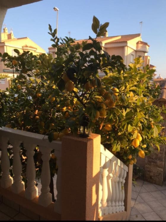 5 bedroom Villa for sale in Bolnuevo - € 410,000 (Ref: 9518035)