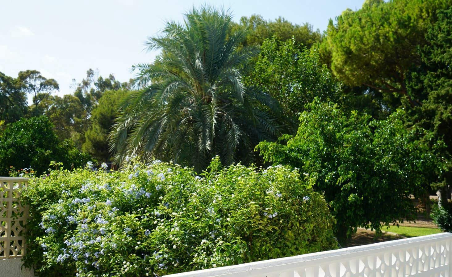 3 soverom Hus til salgs i La Zenia - € 328 000 (Ref: 9518036)