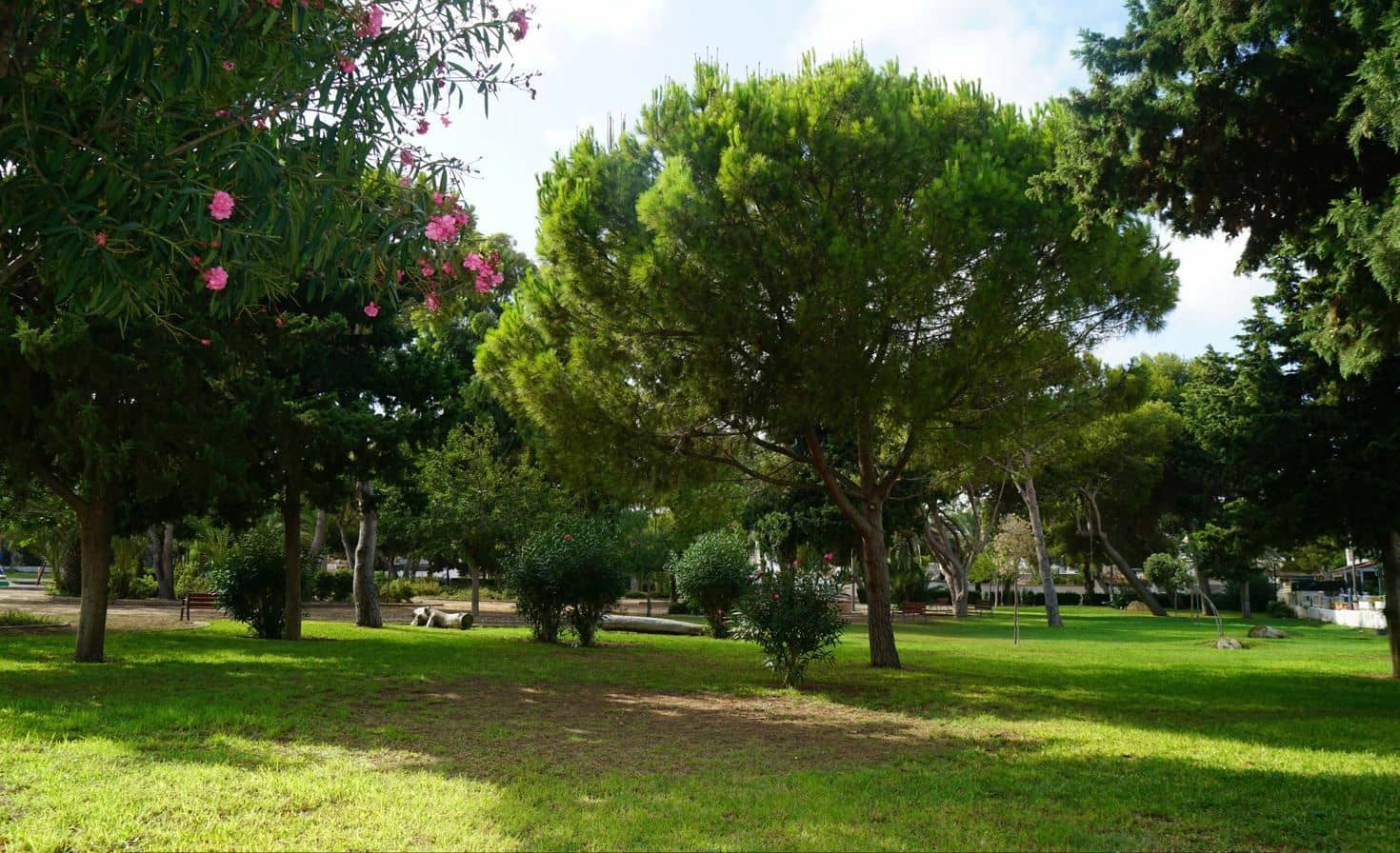 3 soverom Hus til salgs i La Zenia - € 328 000 (Ref: 9518036)