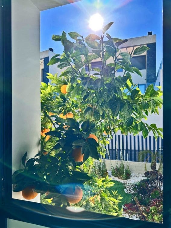 3 chambre Villa/Maison à vendre à Dona Pepa avec piscine garage - 620 000 € (Ref: 9558013)