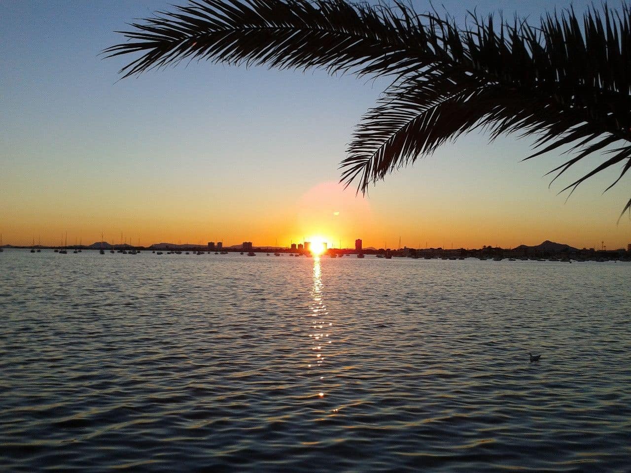 4 Zimmer Villa zu verkaufen in Torre de la Horadada - 272.000 € (Ref: 9565438)