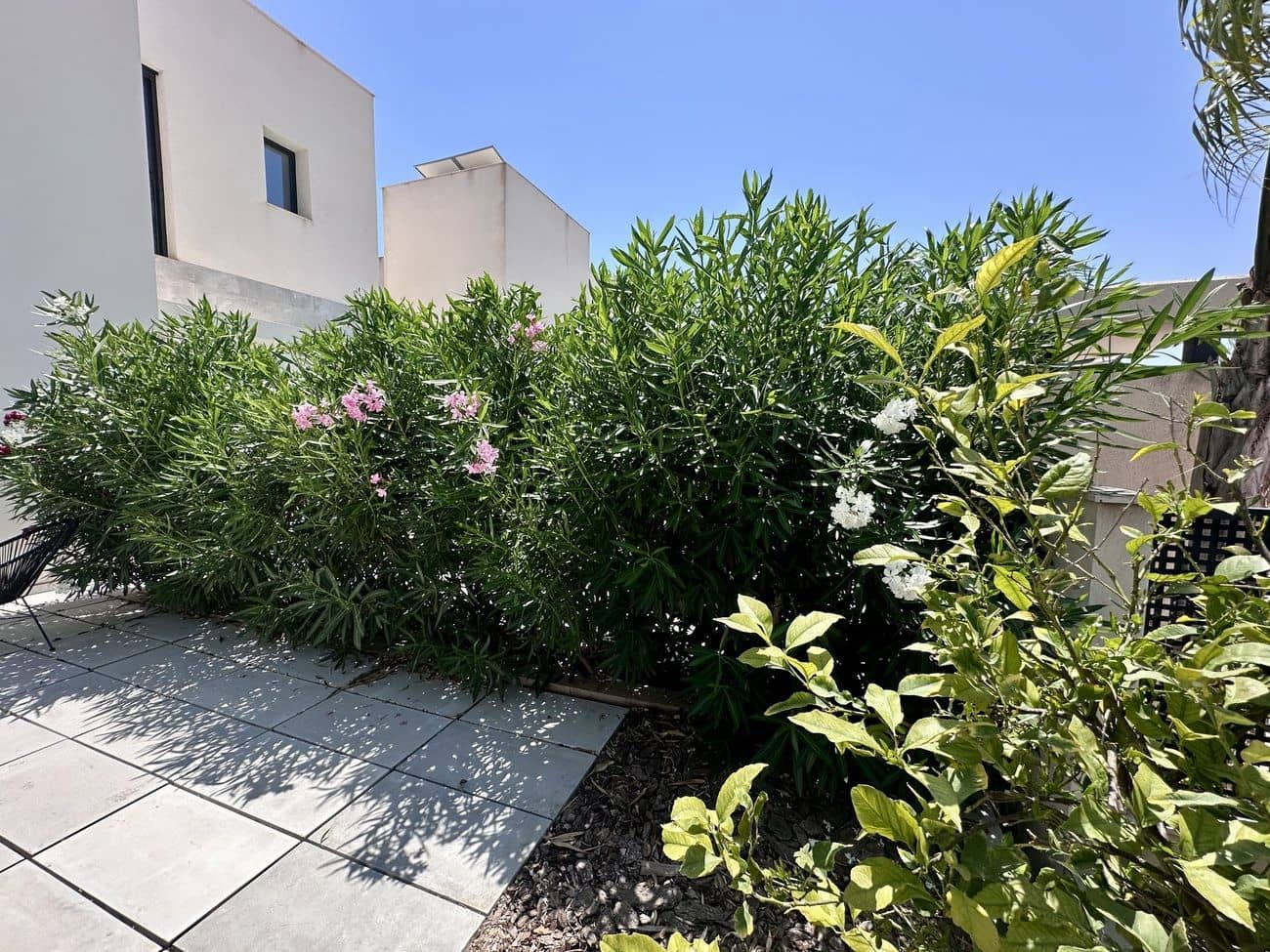 Chalet de 4 habitaciones en Ciudad Quesada en venta con piscina - 789.000 € (Ref: 9611445)