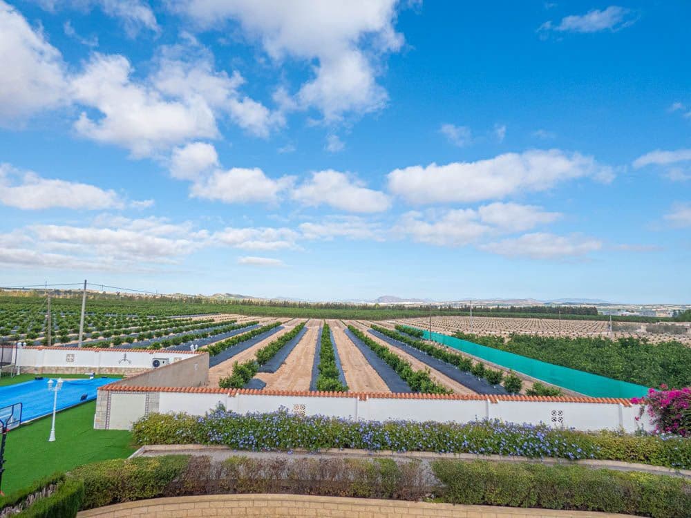 7 quarto Moradia para venda em San Miguel de Salinas com garagem - 1 499 000 € (Ref: 9645285)