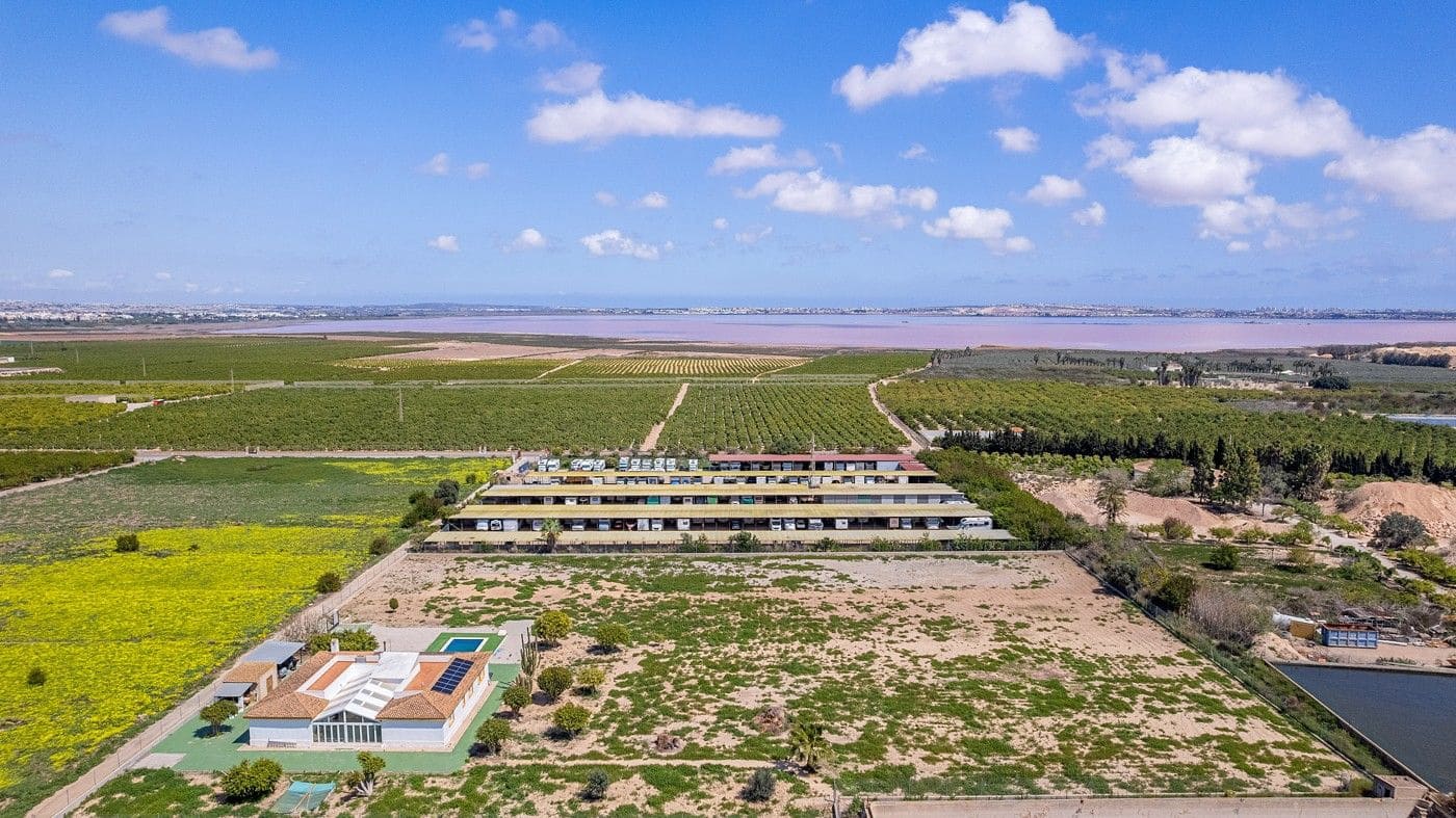 6 sovrum Villa till salu i Los Montesinos - 779 000 € (Ref: 9645307)