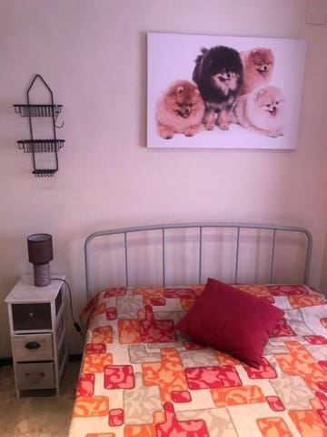 7 camera da letto Appartamento in vendita in Centro, Elche / Elx - 420.000 € (Rif: 9645374)