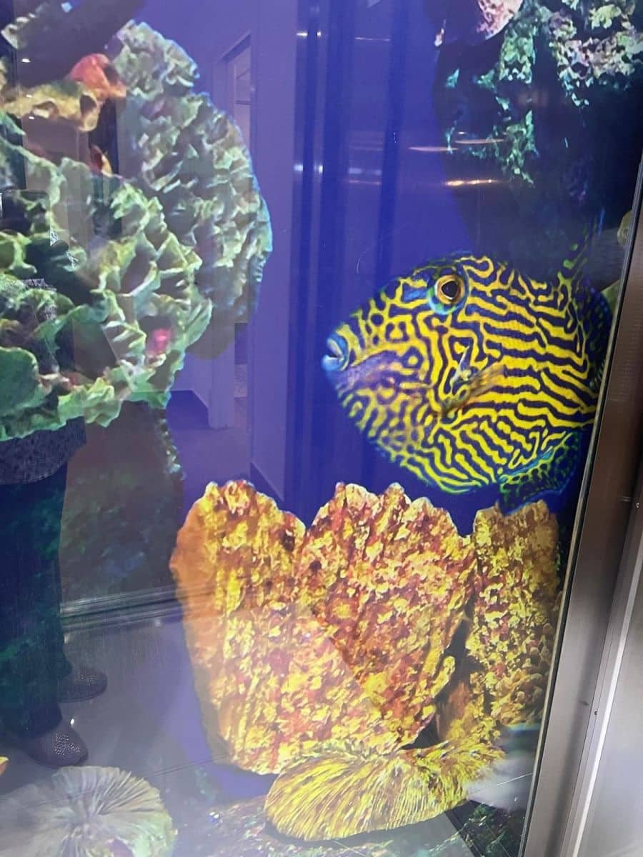 5 soverom Villa til salgs i San Miguel de Salinas med svømmebasseng - € 995 000 (Ref: 9645382)