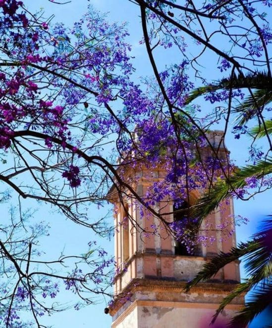 4 sypialnia Dom szeregowy na sprzedaż w Denia z basenem - 475 000 € (Ref: 9649733)