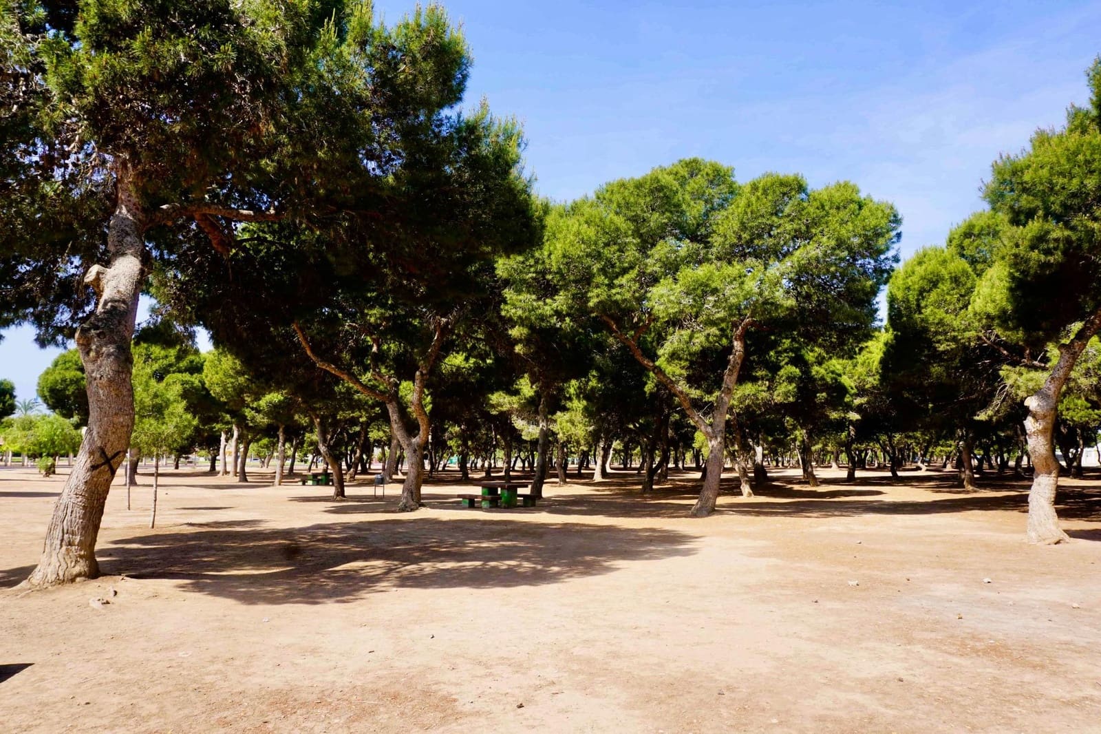 3 bedroom Apartment for sale in Santiago de la Ribera with pool - € 349,000 (Ref: 9649742)