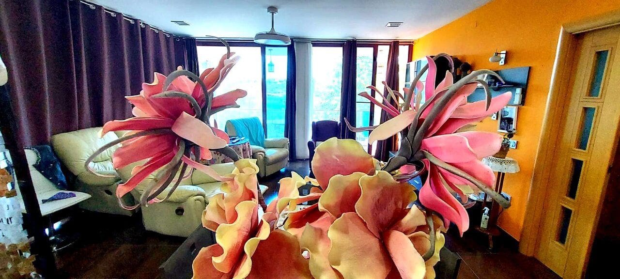 3 bedroom Villa for sale in Murcia city - € 350,000 (Ref: 9729375)