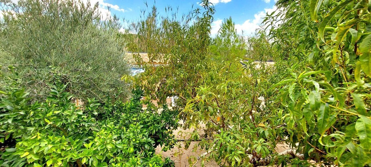 3 bedroom Villa for sale in Murcia city - € 350,000 (Ref: 9729375)