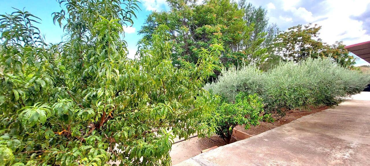 3 bedroom Villa for sale in Murcia city - € 350,000 (Ref: 9729375)