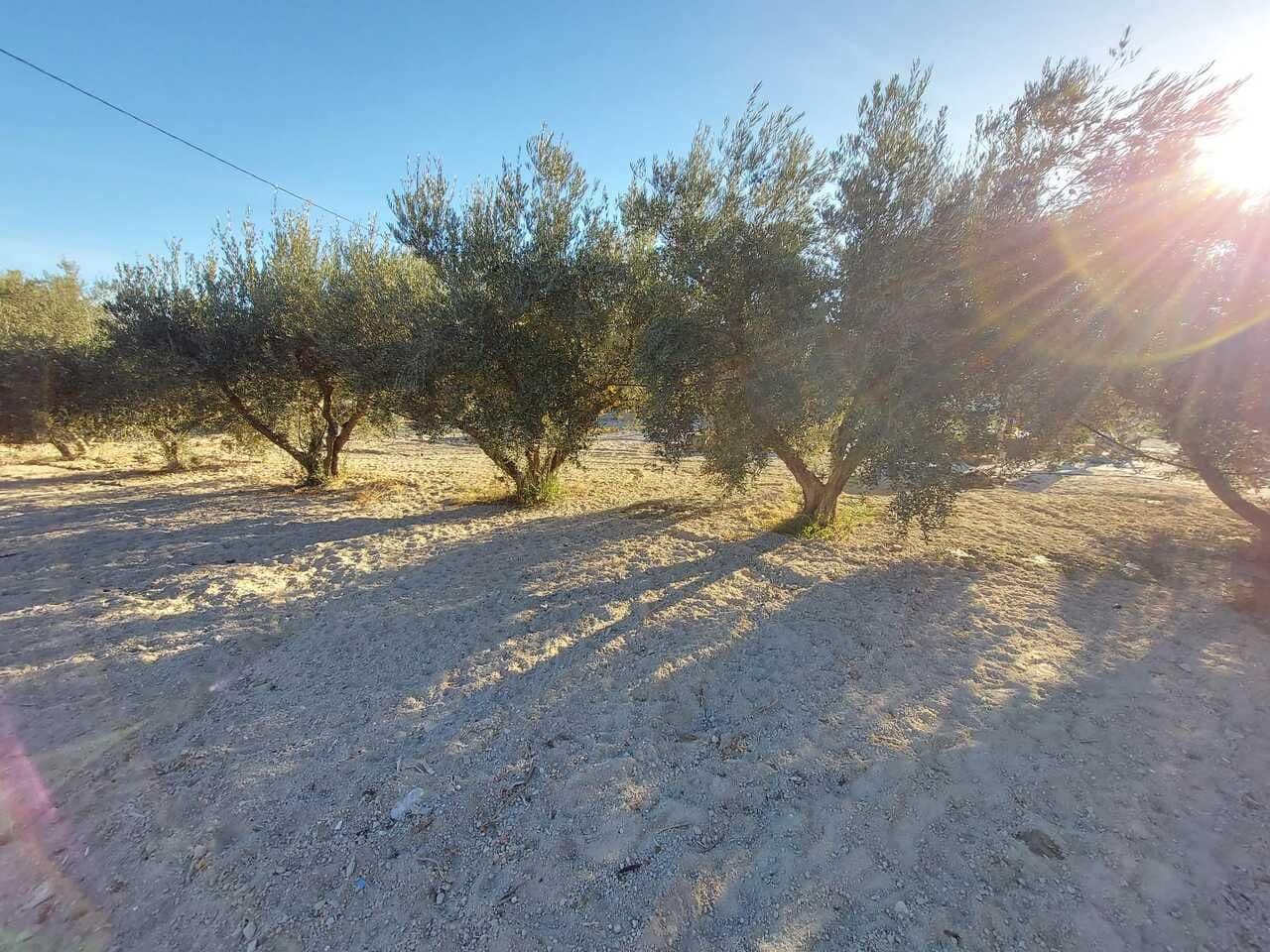 3 bedroom Villa for sale in Murcia city - € 190,000 (Ref: 9741917)