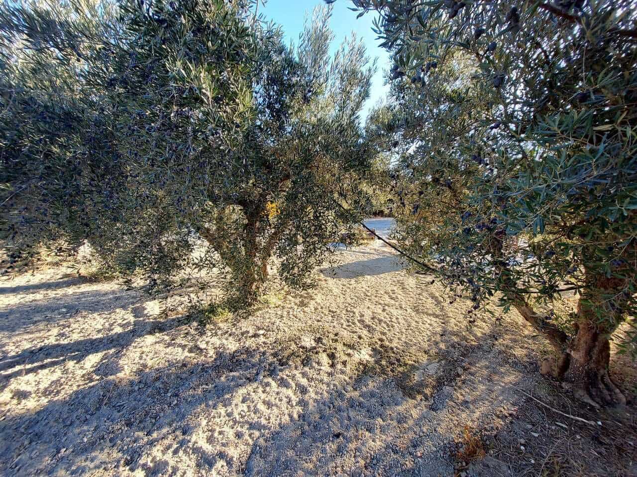 3 bedroom Villa for sale in Murcia city - € 190,000 (Ref: 9741917)