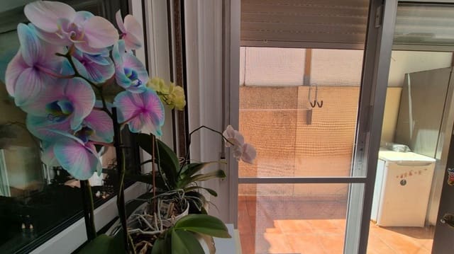 Casa de 3 habitaciones en Torreblanca, Torrevieja en venta - 235.000 € (Ref: 9742099)