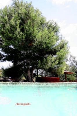 3 bedroom Villa for sale in Canada de San Pedro - € 590,000 (Ref: 9744184)