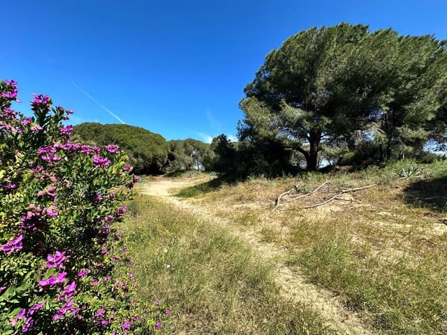 2 soveværelse Rækkehus til salg i Guardamar del Segura - € 115.000 (Ref: 9794913)