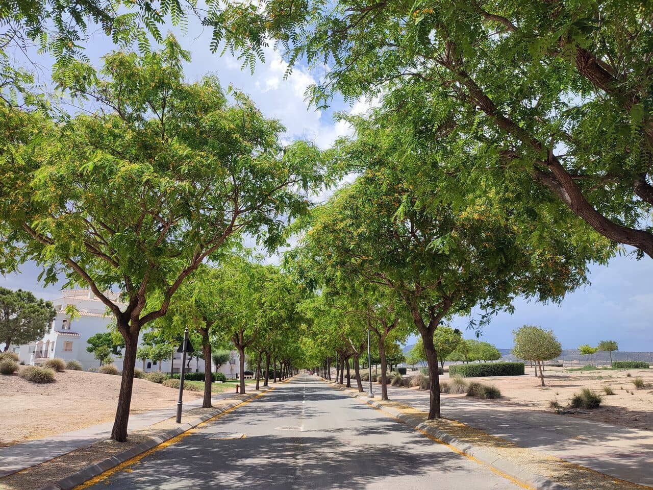 Apartamento de 2 habitaciones en Hacienda Riquelme en venta - 170.000 € (Ref: 9813381)