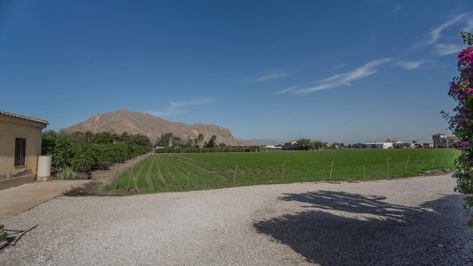 3 Zimmer Finca/Landgut zu verkaufen in Orihuela mit Pool - 379.950 € (Ref: 9846668)