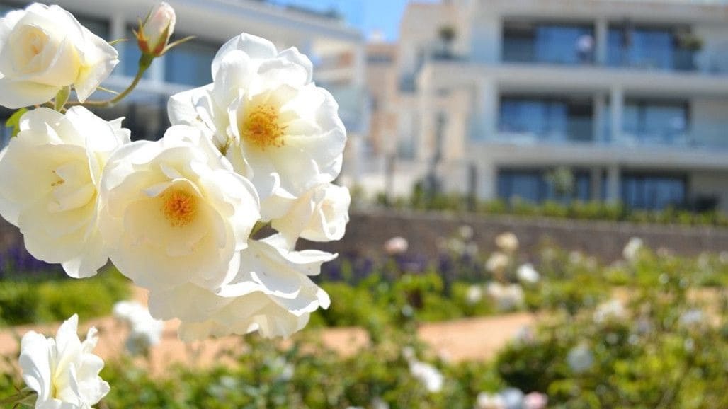 2 soverom Leilighet til salgs i Fuengirola med svømmebasseng - € 705 000 (Ref: 9993424)