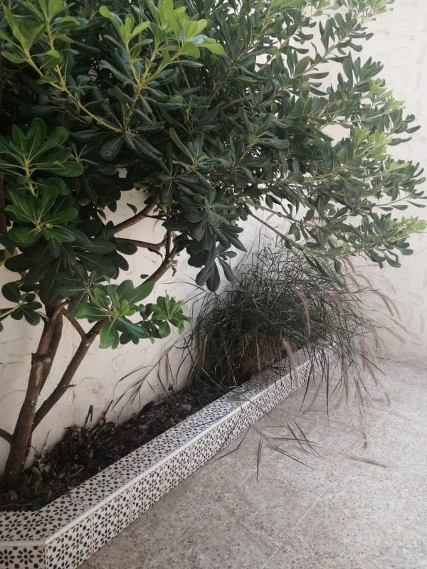 3 soveværelse Byhus til salg i Los Nietos - € 144.000 (Ref: 8494612)