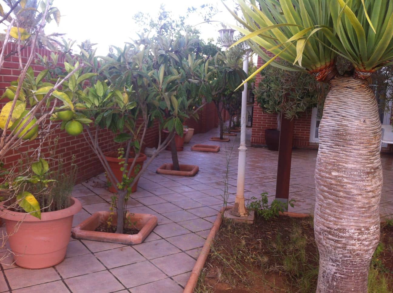 4 soveværelse Villa til salg i Playa Honda med swimmingpool - € 750.000 (Ref: 8494614)