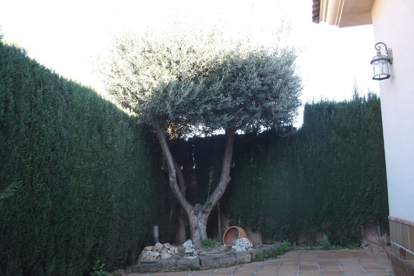 Ubebygd land til salgs i Los Belones - € 440 000 (Ref: 8494624)