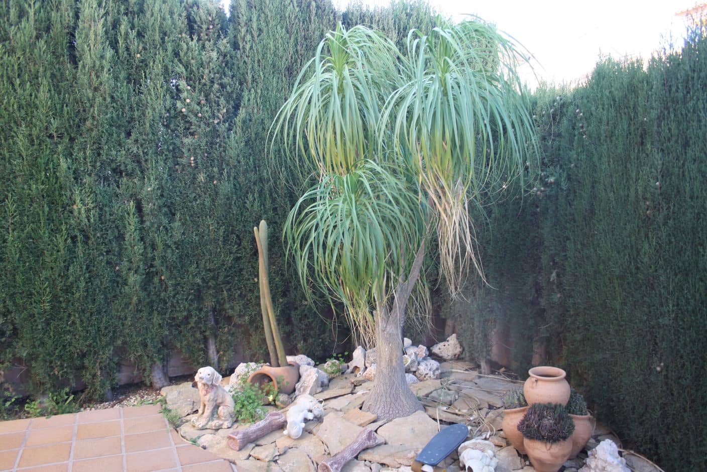 Ubebygd land til salgs i Los Belones - € 440 000 (Ref: 8494624)