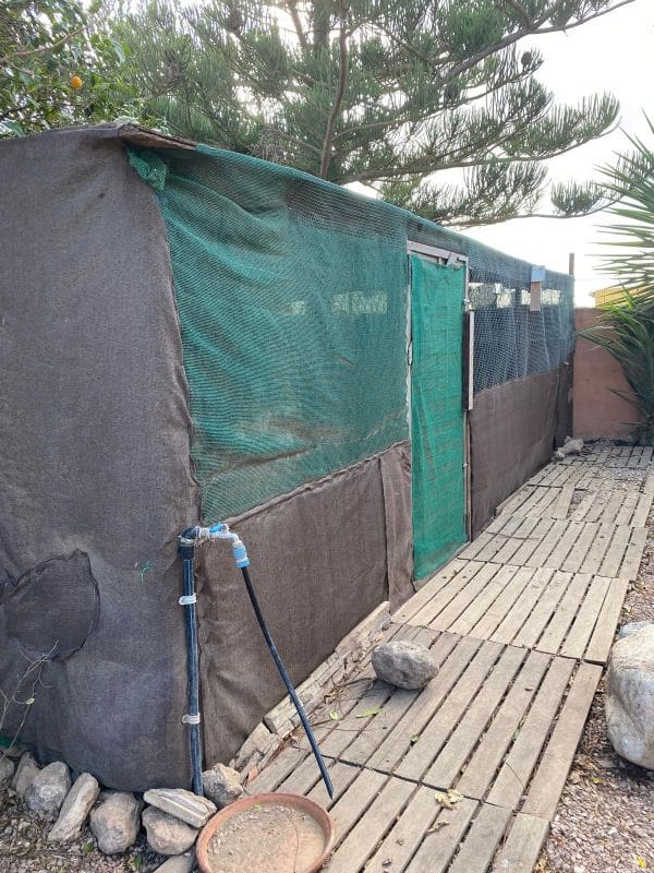 4 quarto Quinta/Casa Rural para venda em Pozo Estrecho com piscina garagem - 195 000 € (Ref: 8494635)